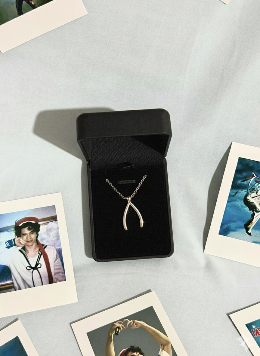 Conan Gray - Wishbone Silver Necklace pre order